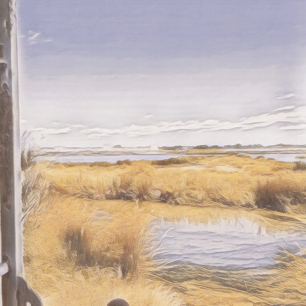 Blick aus einem Zugfenster auf die Salzgärten der Camargue 