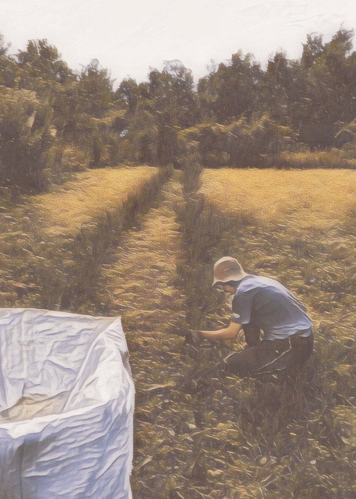 Mehr über meinen Rosmarin-Bauern … - Kontor-der-Lydia