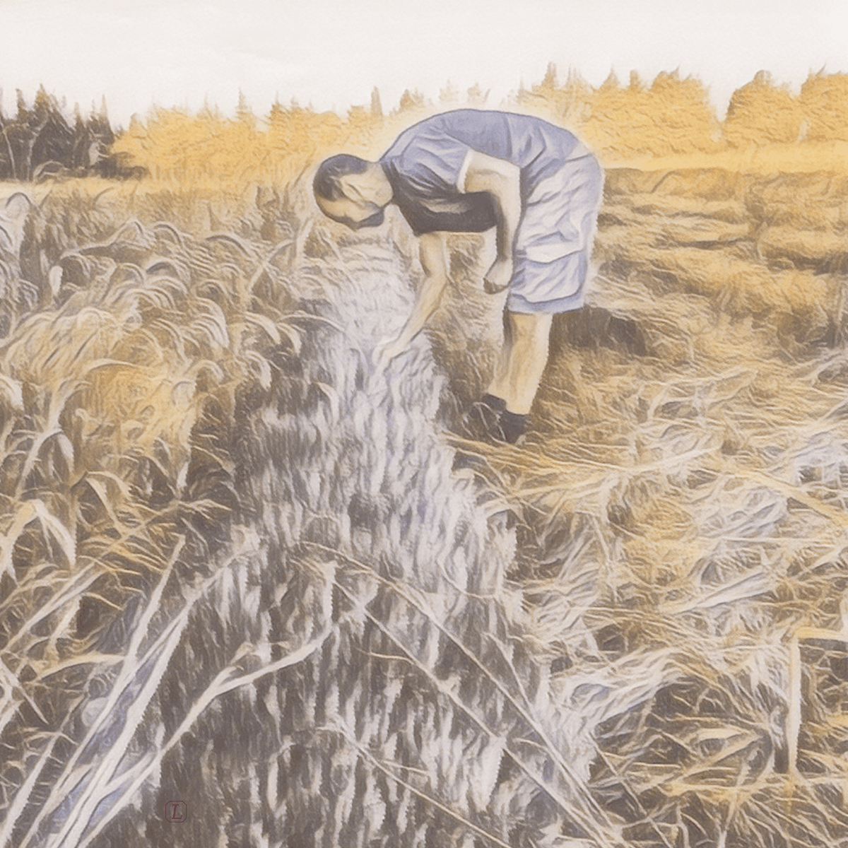 Mehr über meinen Thymian aus der Provence ... - Kontor-der-Lydia