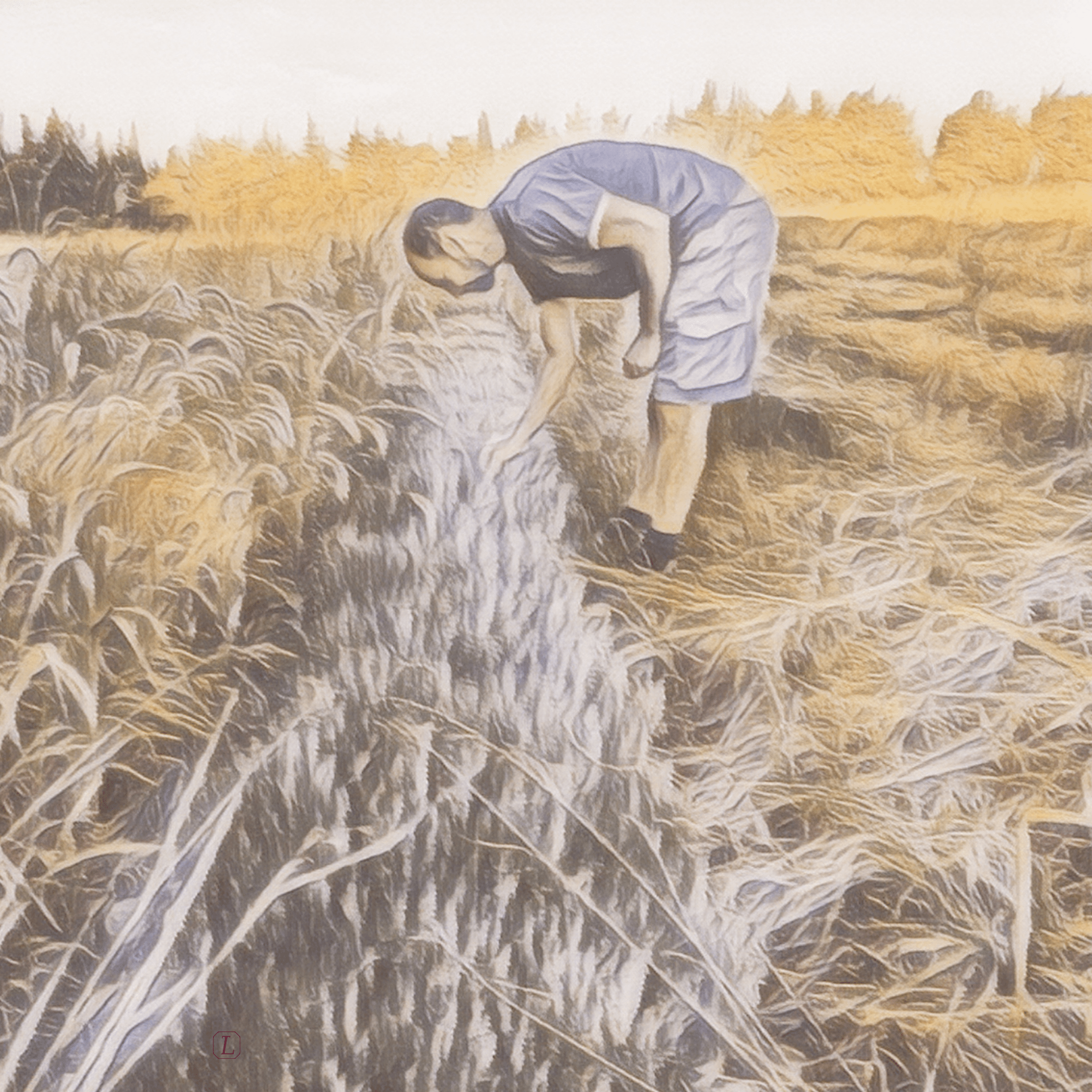 Mehr über meinen Thymian aus der Provence ... - Kontor-der-Lydia