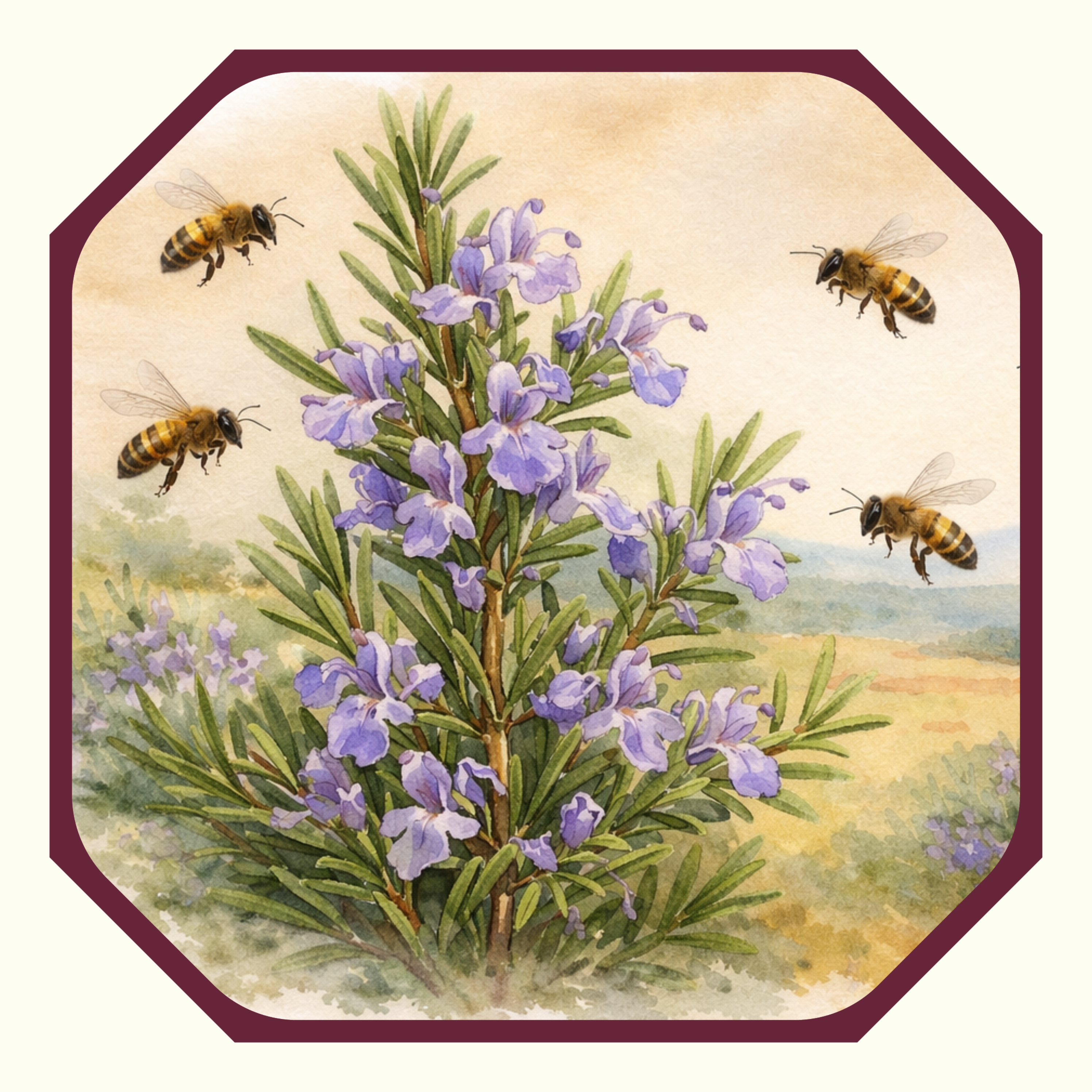 Aquarell mit einem blühendem Rosmarinzweig in einer toskanischen Landschaft, um den Bienen fliegen